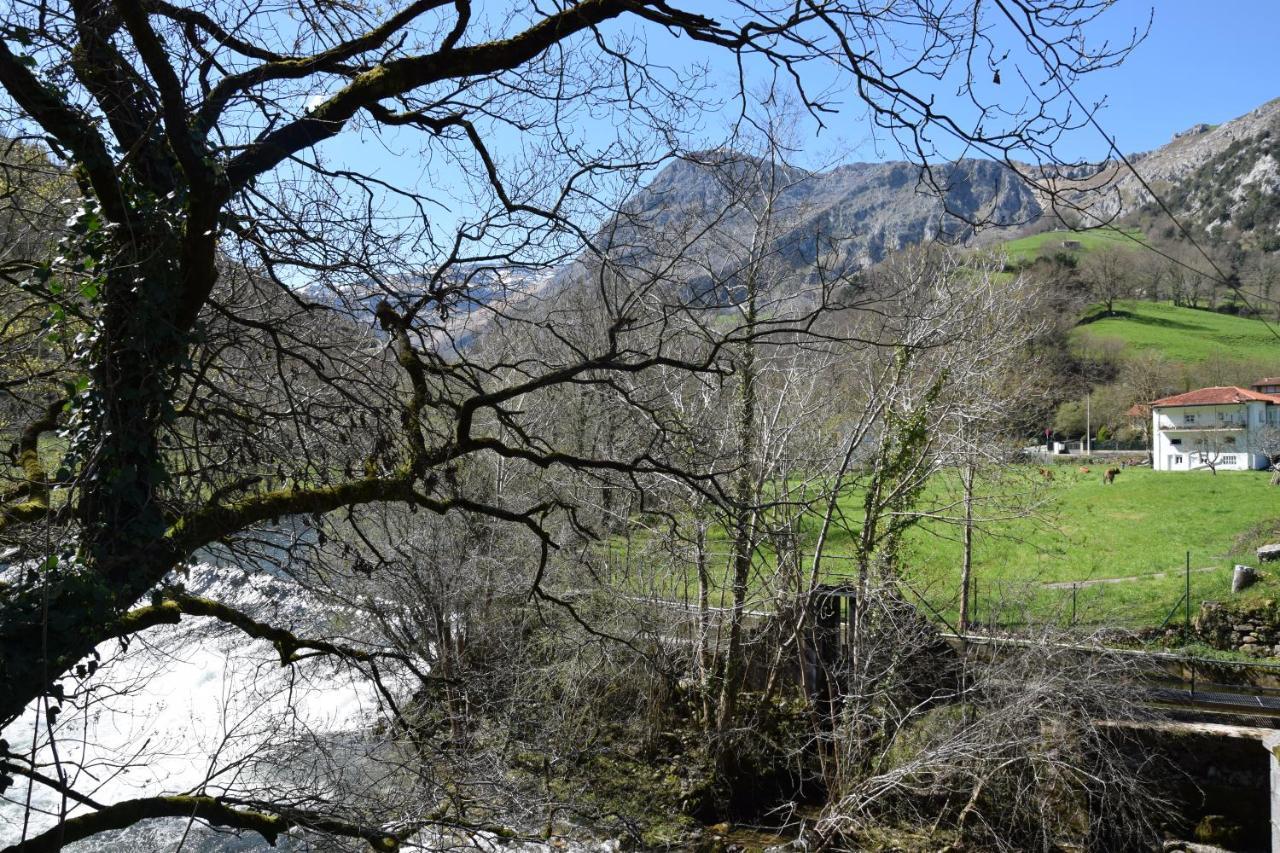 Viv Tur La Quintana I Διαμέρισμα Arredondo Εξωτερικό φωτογραφία